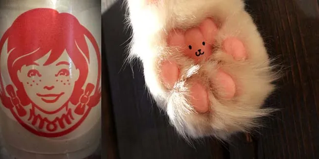 Luput Dari Mata, Apa Kamu Sadar Dengan Hal-Hal Aneh Ini?