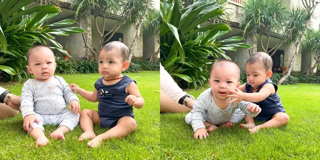 Potret Baby Don dan Baby Izz Main Bareng Duduk di Rumput, Dua Bayi yang Bestie Abis - Lucu dan Menggemaskan Sekali Rebutan Mainan