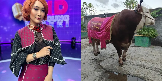 Potret Penampakan Sapi Kurban Inul Daratista yang Dibeli dari Hasil Menabung, Ceritakan Mampu Beli hingga 4-5 Ekor
