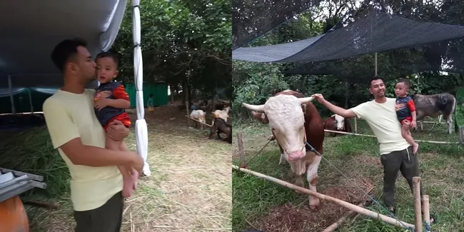 Potret Rayyanza Alias Cipung Kurban Sapi 1,1 Ton Pakai Uang Sendiri, Netizen Gaji UMR Langsung Minder