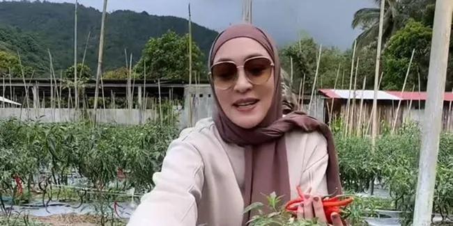 Pulang Kampung, Angelina Sondakh ke Kebun Kacang dan Panen Cabe