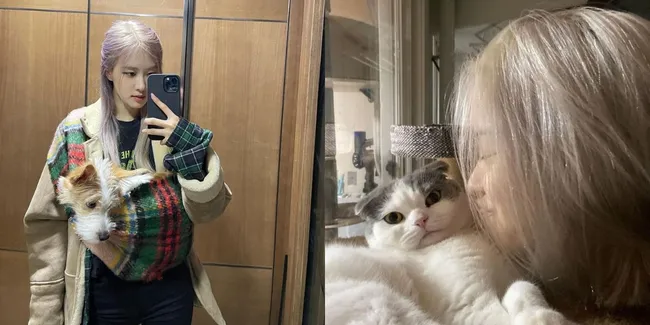 Punya Sahabat Berbulu, Intip Gemasnya Deretan Idol K-Pop dengan Peliharaan Lucu Mereka!