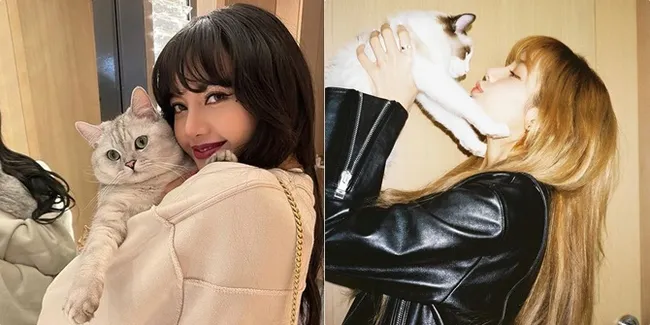Uwu Banget! Ini 7 Foto Manis Lisa BLACKPINK Bareng Kucing Peliharaan: Leo, Luca, Louis dan Lily