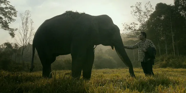 Video Klip Tulus, Enak Dinikmati, Artistik, dan Bikin Tersentuh