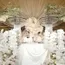 Wujudkan Wedding Dream Alyssa Daguise, 8 Potret Detail Dekorasi Resepsi Pernikahan Al Ghazali 