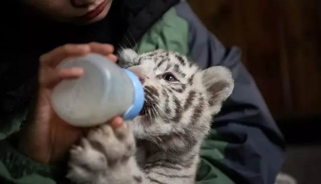 Ditemui di kawasan Gunawarman, Jakarta Selatan, Titiek mengaku meletakkan prioritas pertama untuk negeri tercintanya. 