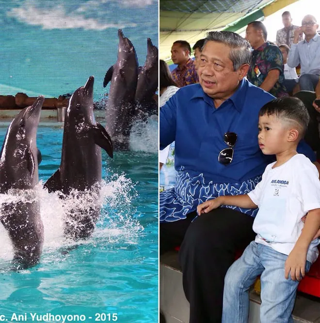 FOTO: Momen Bersama SBY dan Cucunya, Penuh Kehangatan 
