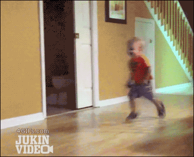 38981funny Cat Gif 20150814 005 Rita Gif