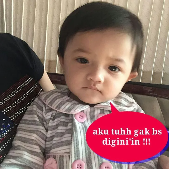 Sederet Meme Gokil Baby Arsy Yang Bikin Ketawa Gemas 