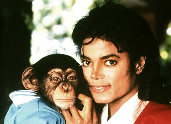 to make movie about michael jackson s pet chimp bubbles