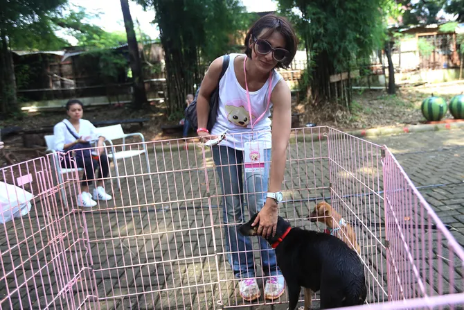 Duta WWF Indonesia, Davina Veronica lindungi anjing dan 