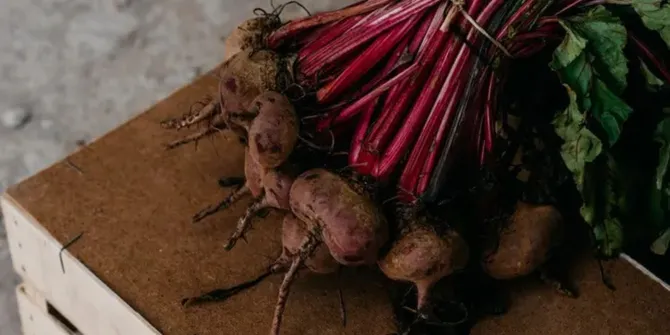 4 Resep Lezat dari Buah Bit yang Ampuh Turunkan Kolesterol