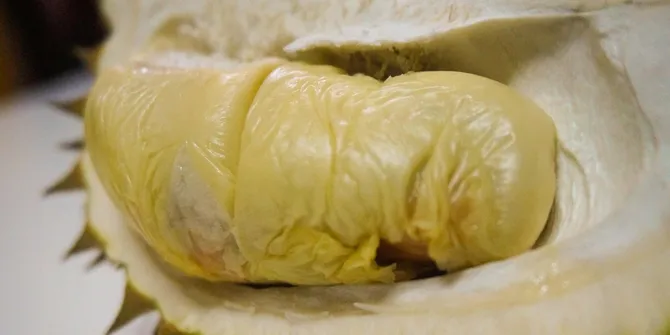 5 Resep Kreasi Ketan Duren untuk Camilan dan Hidangan Spesial Bagi Keluarga