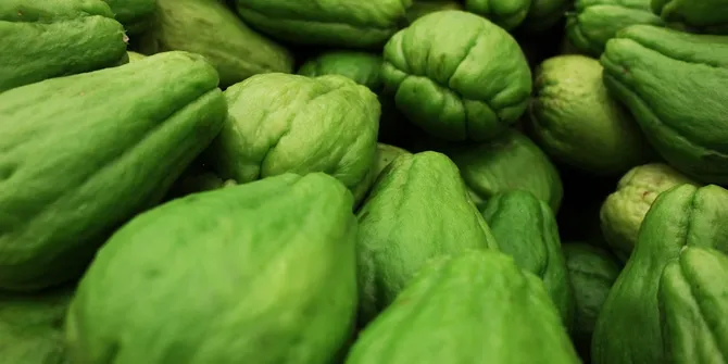 6 Kreasi Sayur Bening Labu Siam: Segar, Sehat, dan Menggugah Selera