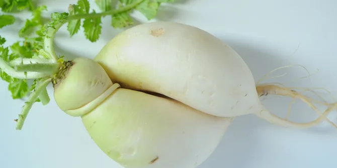 6 Resep Sayur Lobak yang Lezat dan Bergizi, Mudah Dibuat dengan Bahan-Bahan Sederhana