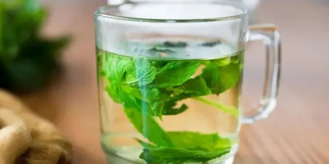 Atasi Kolesterol Tinggi dengan Rebusan Daun Alami Ini