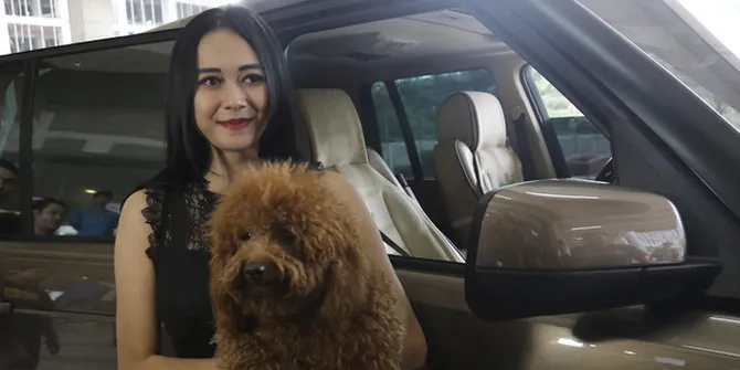 Aura Kasih Punya Anjing Lucu Yang Mirip Banget Sama Boneka Aura Kasih Punya Anjing Lucu Yang Mirip Banget Sama Boneka