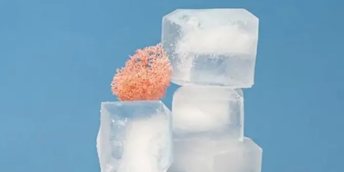 Cara Jitu Menghancurkan Es Batu dalam Plastik, Praktis, Efektif, dan Tanpa Ribet