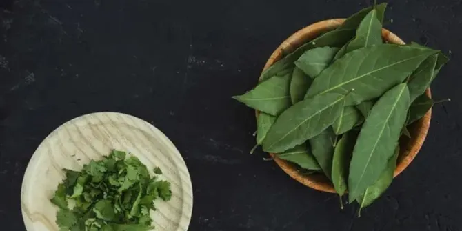 Cara Mengolah Daun Salam untuk Menurunkan Kolesterol dengan Mudah