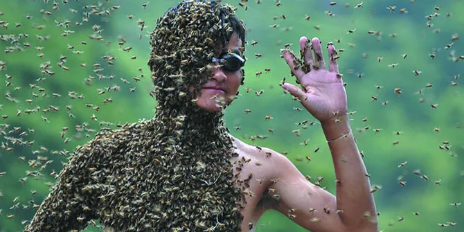 Demi Penelitian Organ Kemaluan Pria Ini Rela Disengat Lebah