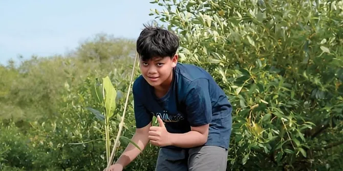 Harley Fatahillah, Bocah 13 Tahun yang Sudah Tanam 18 Ribu Mangrove di Pesisir Surabaya