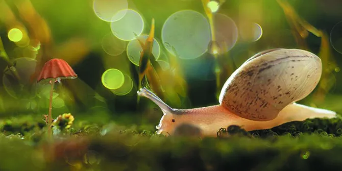 karya-fotografer-indonesia-ini-bikin-he-64b1a4.jpg