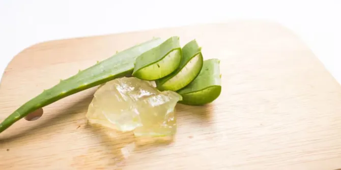 Keajaiban Lidah Buaya, Manfaatnya untuk Kesehatan dan Kecantikan yang Tak Terduga!