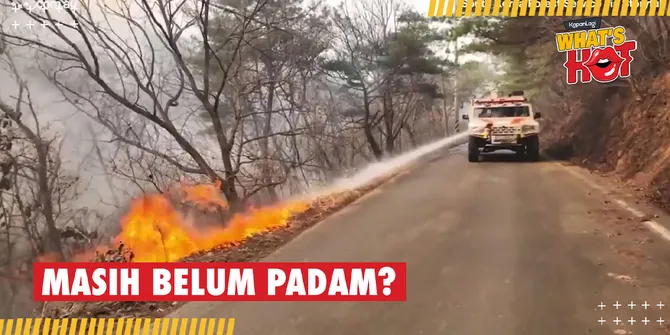 Kebakaran di Korea Selatan Belum Padam, Ratusan Helikopter Dikerahkan