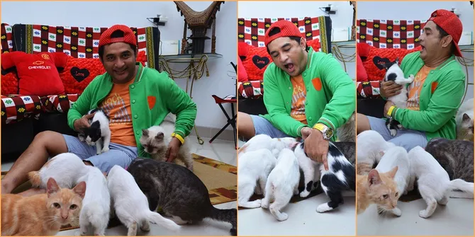 Kucing, Teman Setia Jeremy Teti di Rumah