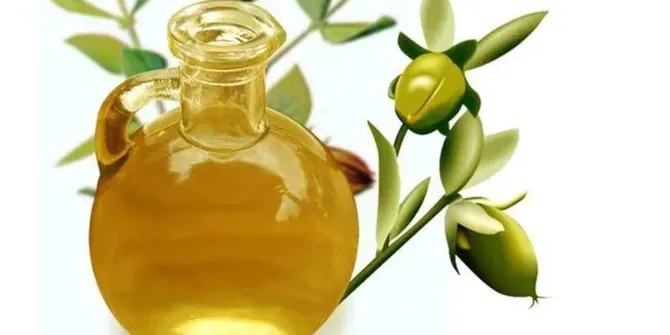 Manfaat Menakjubkan Minyak Zaitun untuk Kecantikan Kulit yang Sehat dan Glowing