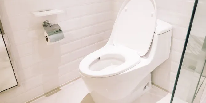 Rahasia Cerdas, Bagaimana Buang Air Besar Dapat Tingkatkan Kecerdasan Anda!