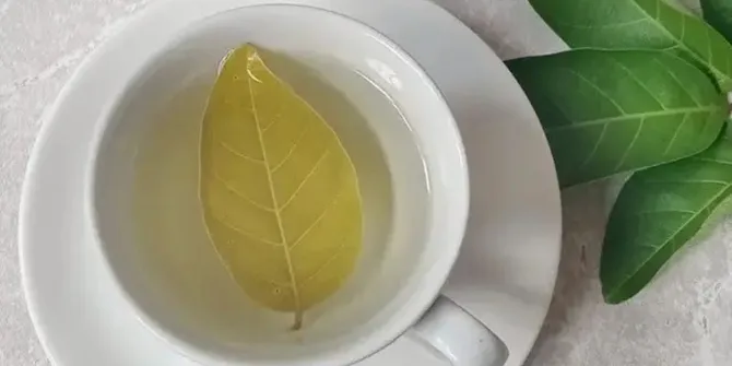 Rahasia Sehat, Rebusan Daun Rambutan yang Efektif Turunkan Kolesterol