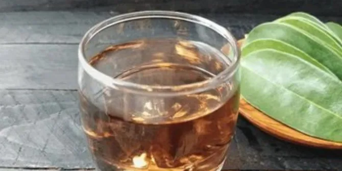 Resep Rebusan Daun Sirsak, Solusi Alami Atasi Asam Urat dan Kolesterol