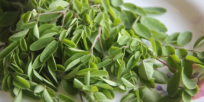 Resep Sayur Daun Kelor yang Praktis dan Cocok untuk Menu Sehari-hari