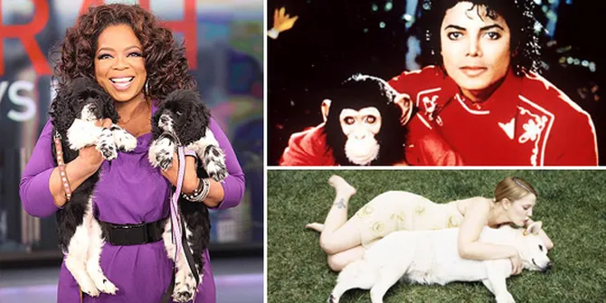 Selebriti Ini Wariskan Harta Benda Untuk Binatang Peliharaannya