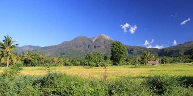 Download 65 Koleksi Gambar Gunung Egon Terbaik Gratis HD