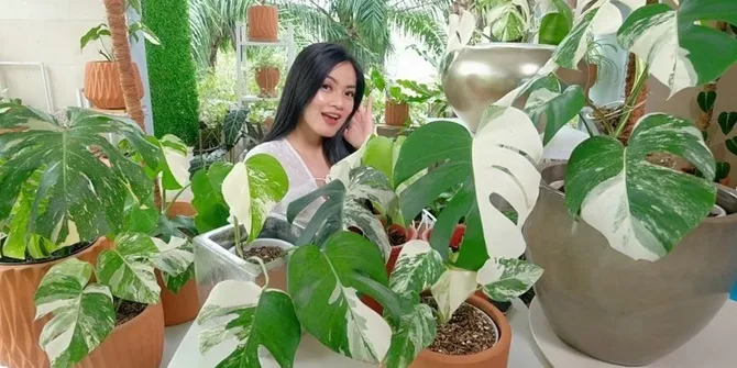 Titi Kamal Jemur Tanaman, Rumahnya Makin Estetik Bak Cafe