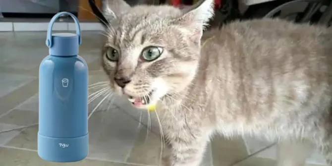 10 Foto Meme Tumbler Anita Ketinggalan di KAI yang Sedang Viral Karya Tangan Kreatif Netizen