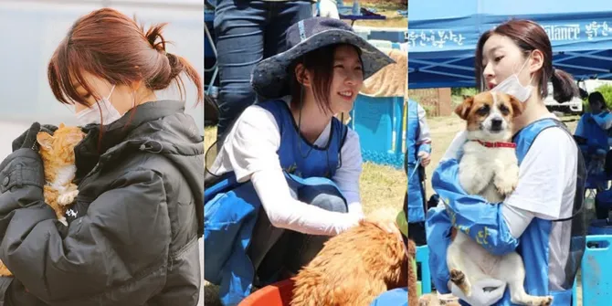 7 Potret Kenangan Kim Sae Ron Peduli Hewan Terlantar Semasa Hidup, Jadi Relawan Anjing dan Kucing Liar