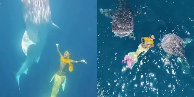 7 Potret Ria Ricis Bareng Hiu Paus, bak Lihat Mermaid Lagi Main Bersama Sahabat