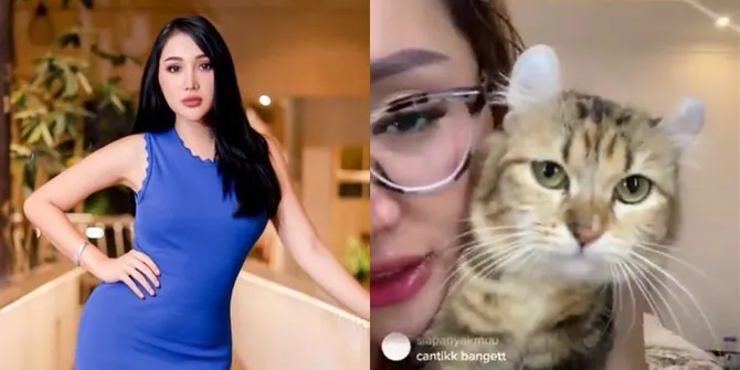 7 Potret Waria Mercedes Kucing Lucinta Luna yang Lucu dan Gemesin Banget, Namanya Bikin Ngakak Netizen dan Gagal Fokus