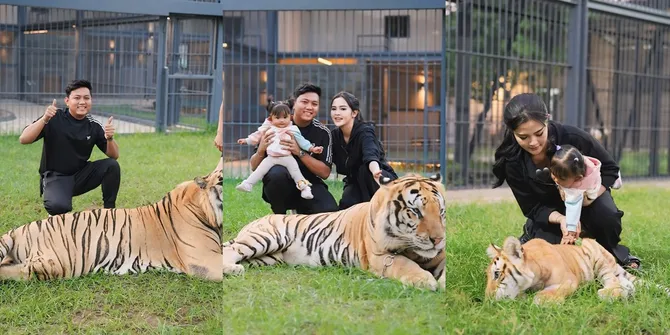 8 Potret Keluarga Denny Caknan Main Bareng Harimau, Dek Cunda & Bella Bonita Santai - Bapaknya Terlihat Tegang