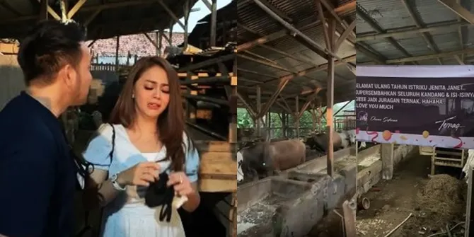 8 Potret Peternakan Jenita Janet, Kado Anti Mainstream dari Suami - Isinya Lebih dari 50 Ekor Sapi
