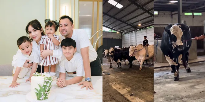 8 Potret Sapi Kurban Milik Raffi Ahmad, Langsung Borong 4 - Dapat Bonus untuk Lily