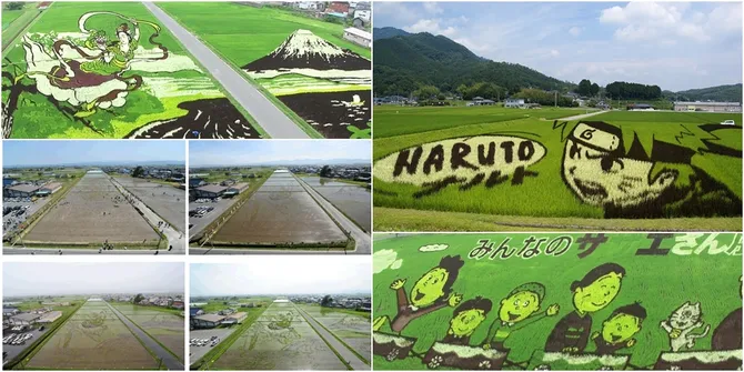 Bukan Photoshop, Sawah di Jepang Jadi Kanvas Lukisan Raksasa