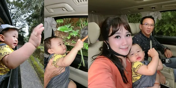 FOTO Ahok dan Puput ke Kebun Binatang, Yosafat Girang Bisa Beri Makan Hewan Langsung