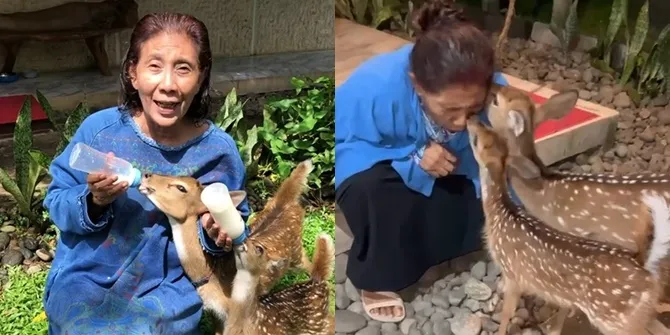 Foto Susi Pudjiasti Bersama Rusa Alias 'Cucu yang Tak Diurus Ibunya', Lucu Banget Saat Dijilat dan Minta Susu