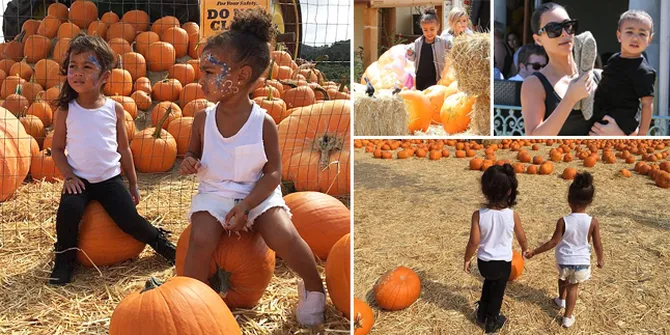 Inilah Potret Lucu North West Saat Asyik Belanja Labu Halloween