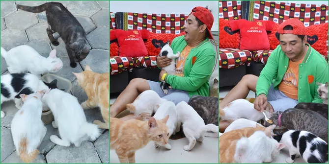 Intip Serunya Jeremy Teti Main Bersama Kucing-Kucing Peliharaan