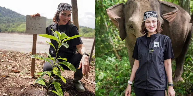 Luna Maya Bahagia Main Bareng Gajah di CRU Peusangan, Beri Banyak Pelajaran Hidup